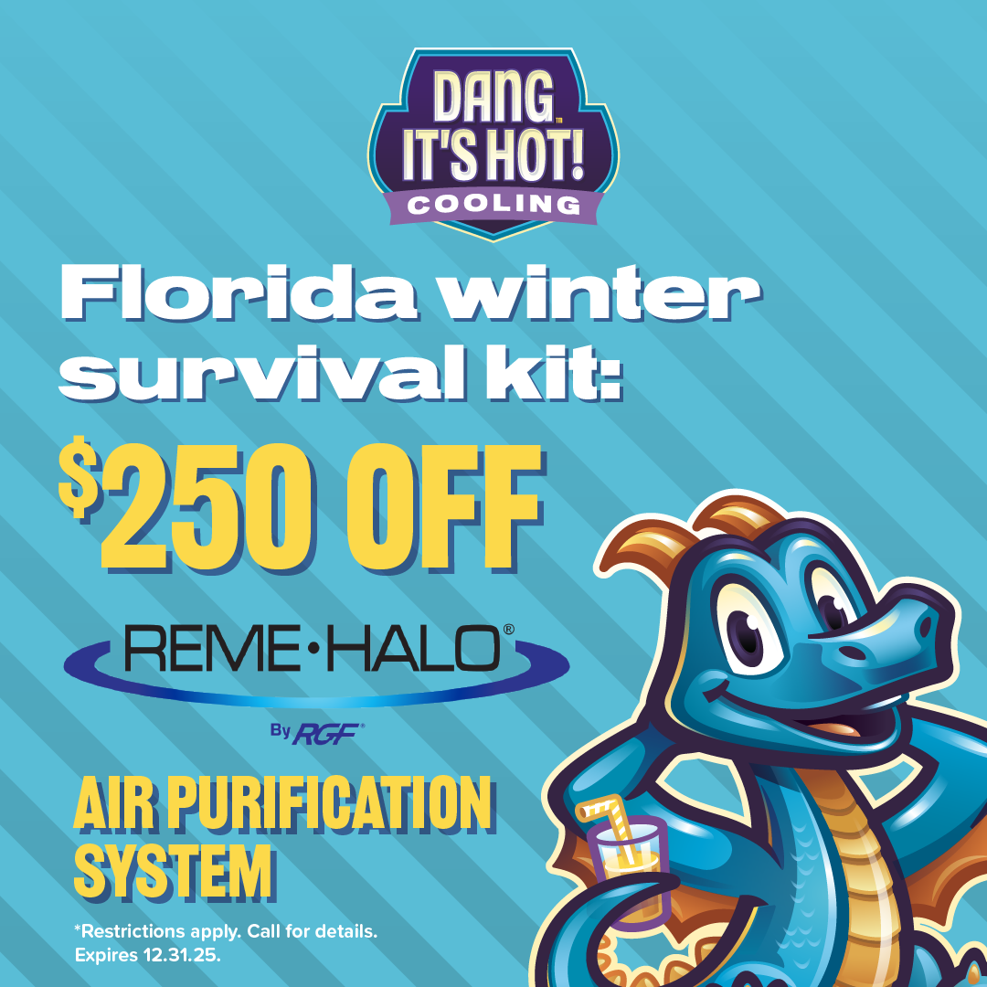 Florida Winter Survival Kit: $250 Off Reme Halo Air Purification System!